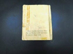 patsy 1920s book bk